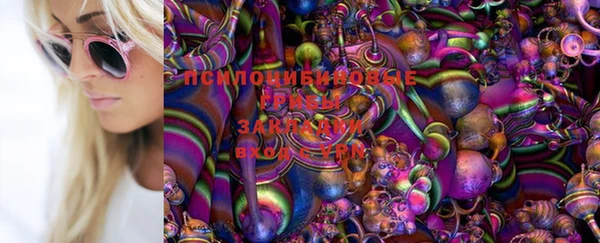Альфа ПВП Каменногорск